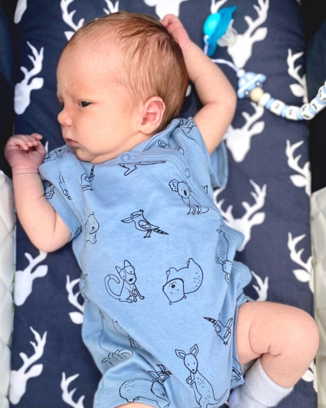 Buck Forest Twilight