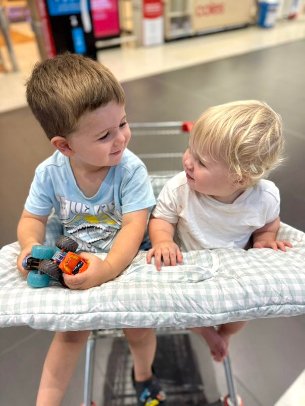 Shopping Trolley Liners