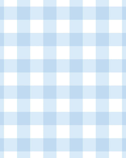 Gingham Blue