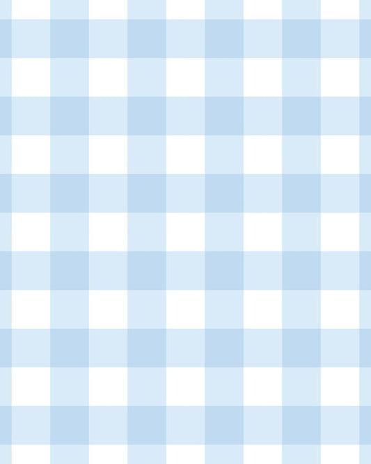 Gingham Blue