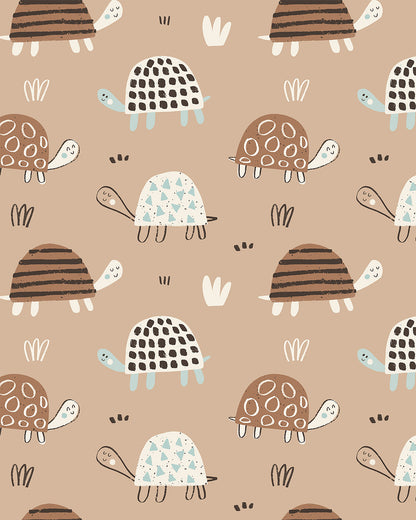 Cocoa Turtles