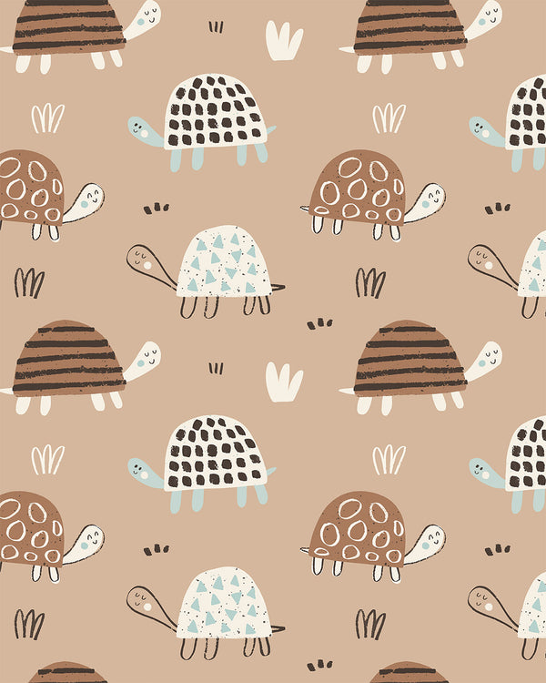 Cocoa Turtles