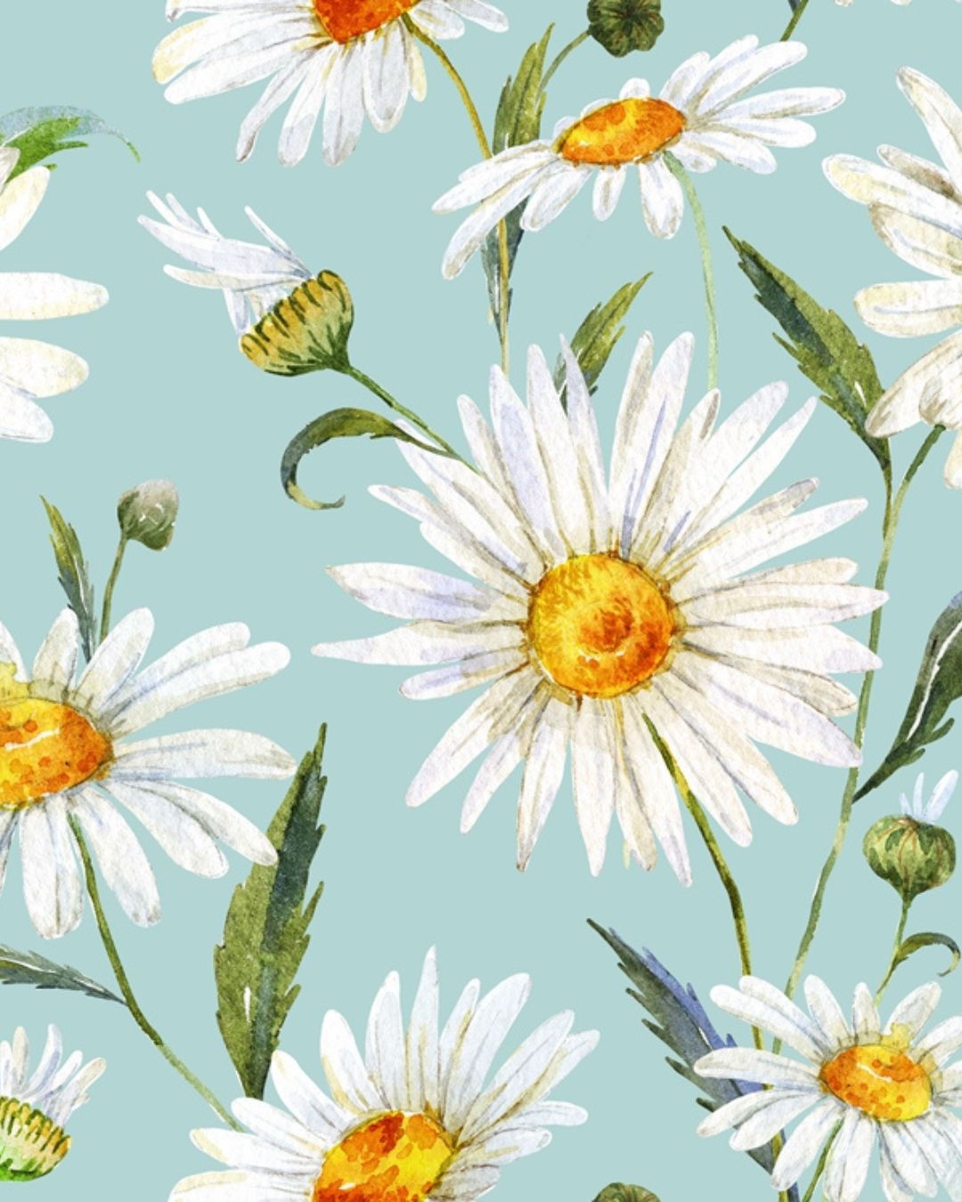 Daisies Aqua