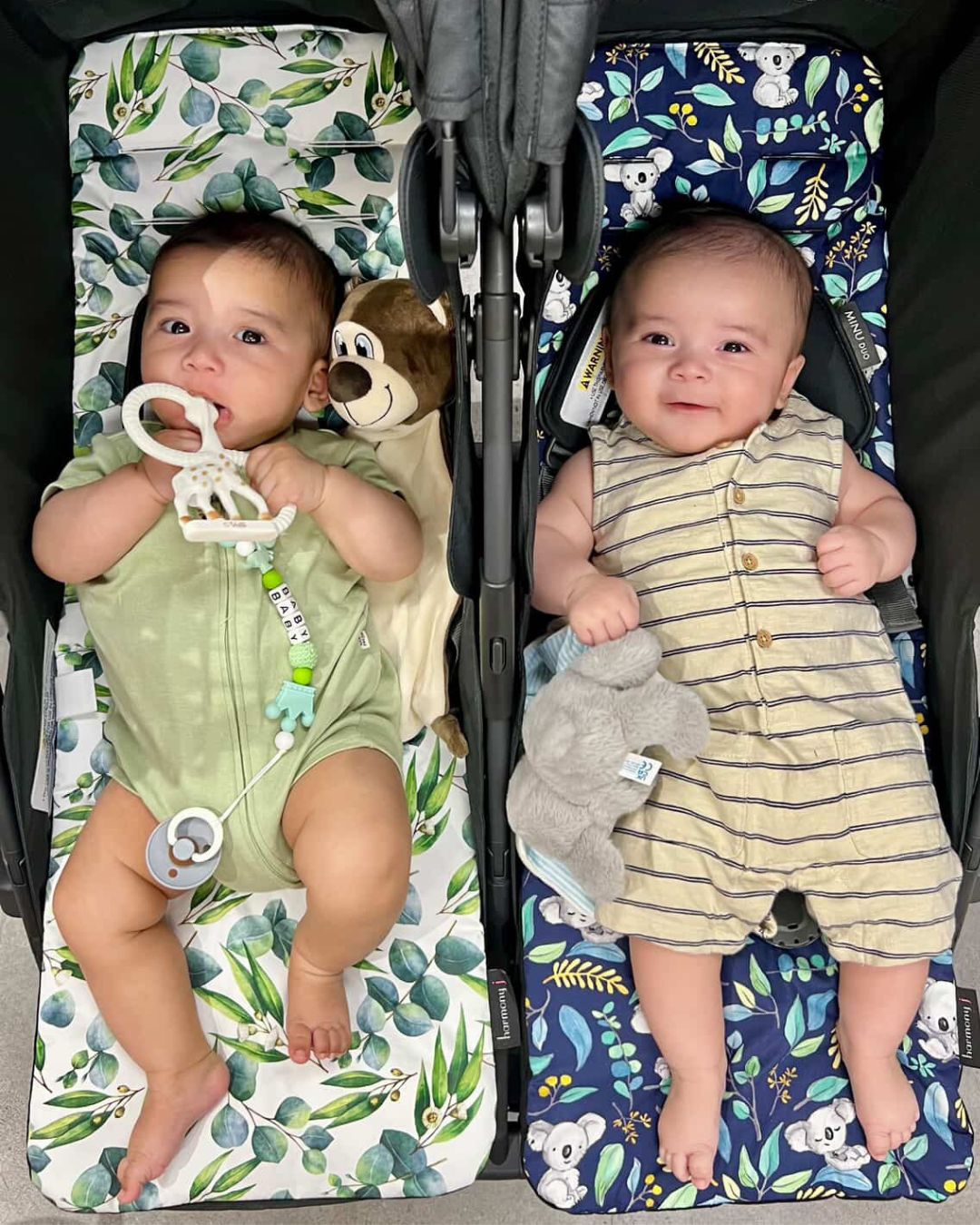 Double pram with babies using Harmony J custom pram liners