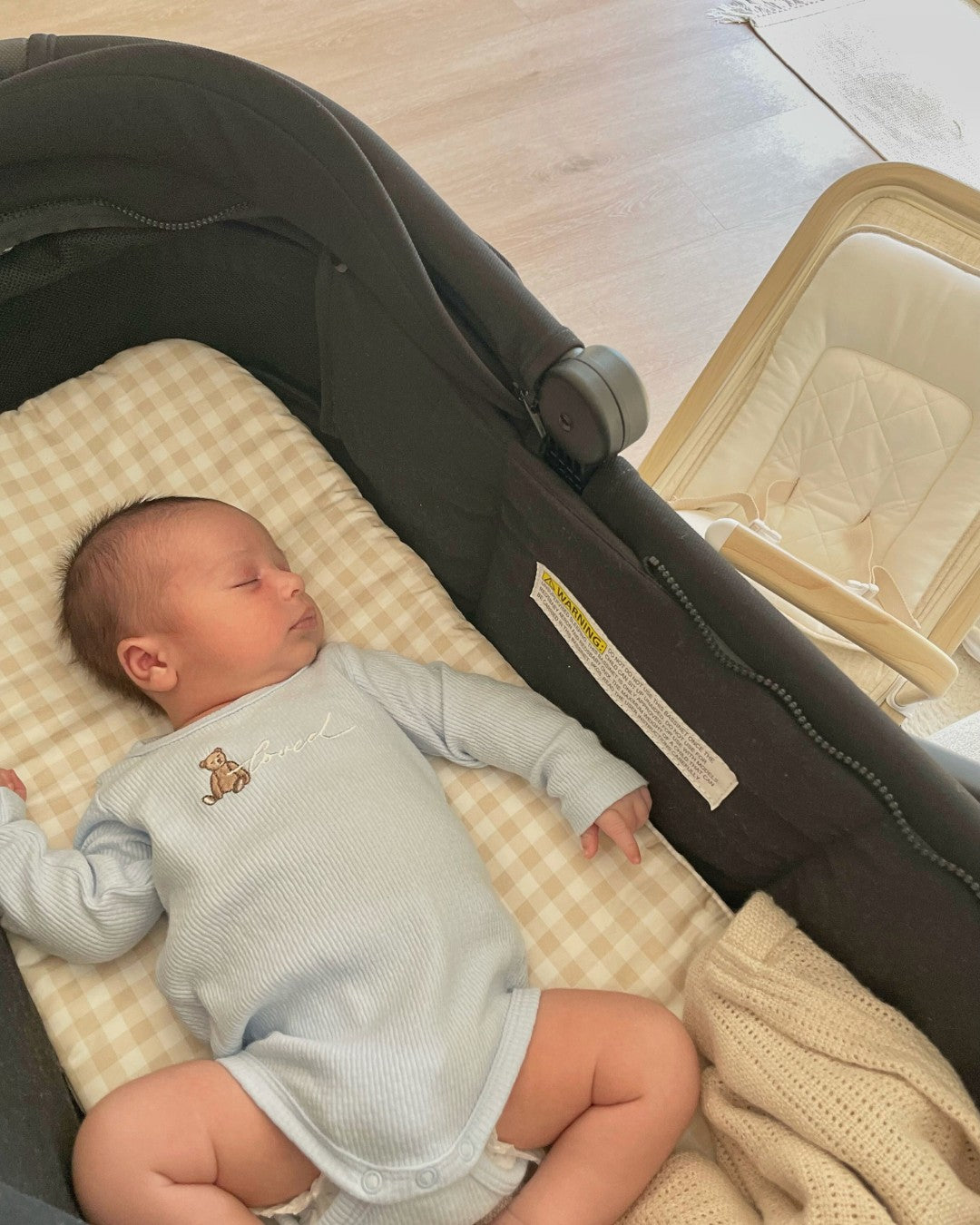 Bassinet Liner