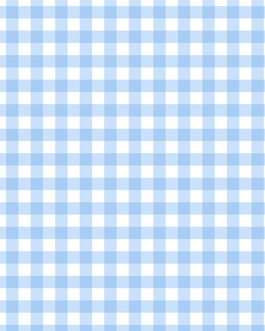 Gingham Blue