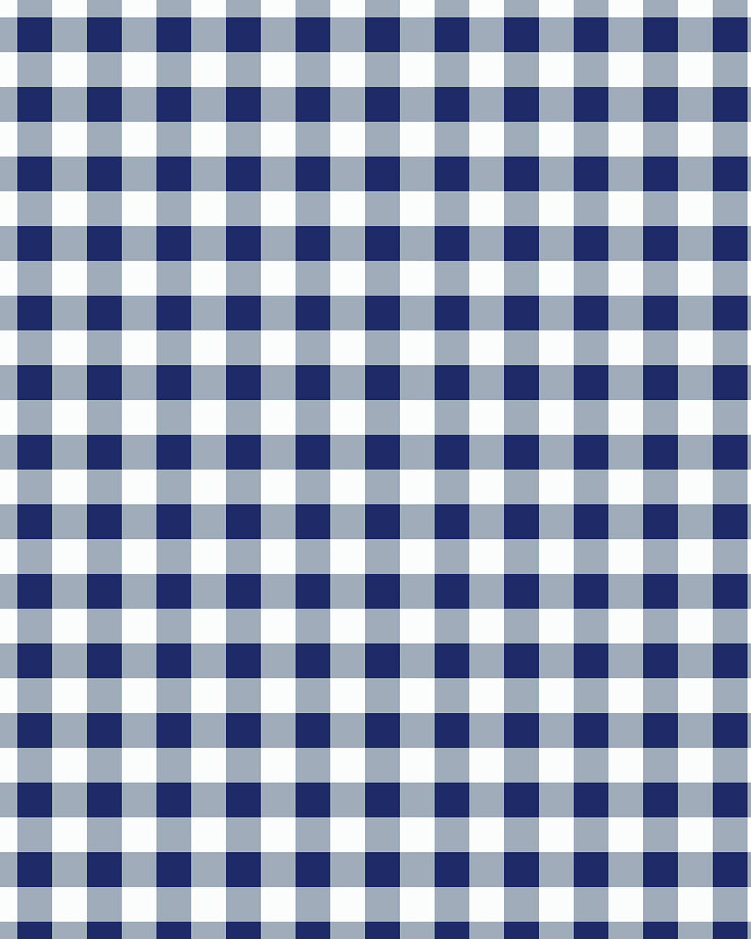 Gingham Navy