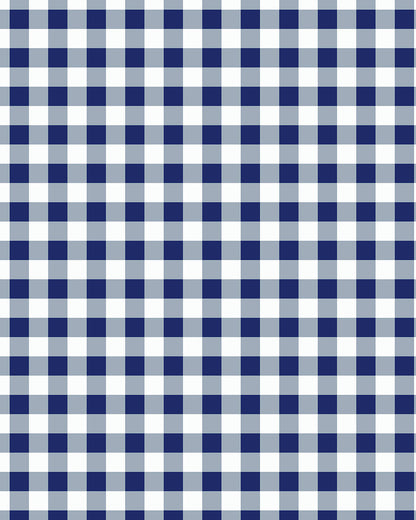 Gingham Navy