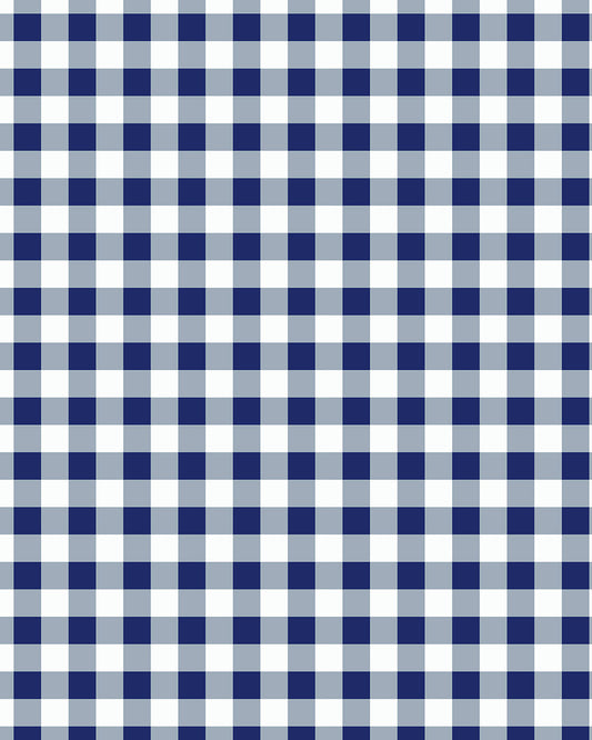 Gingham Navy
