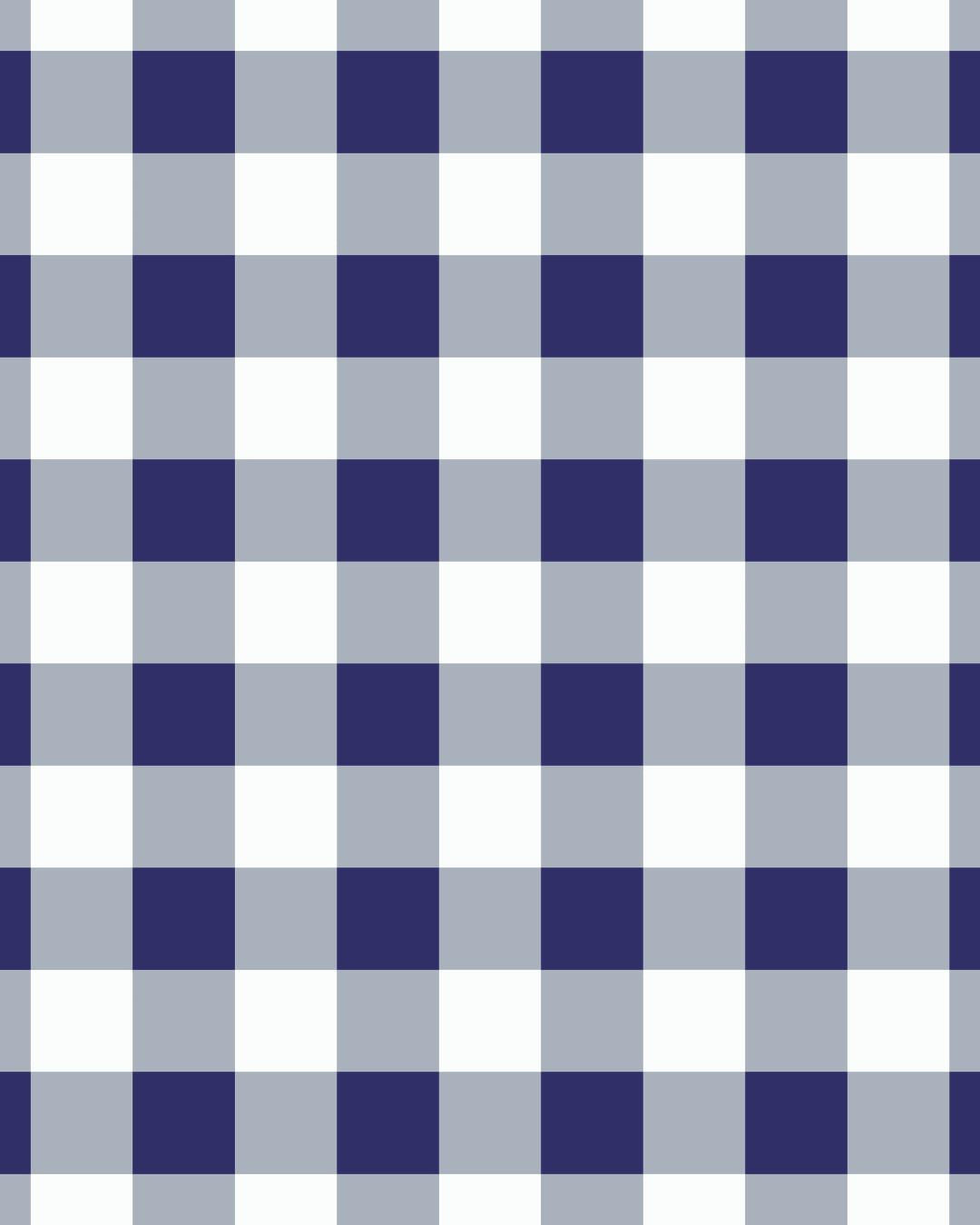 Gingham Navy