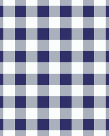 Gingham Navy