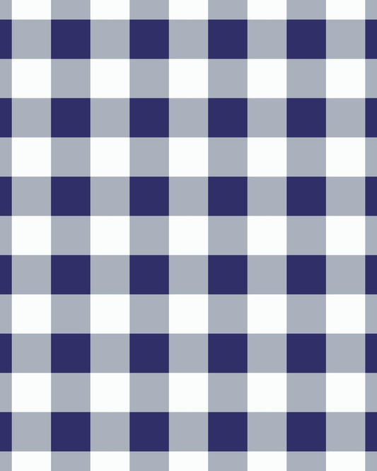 Gingham Navy