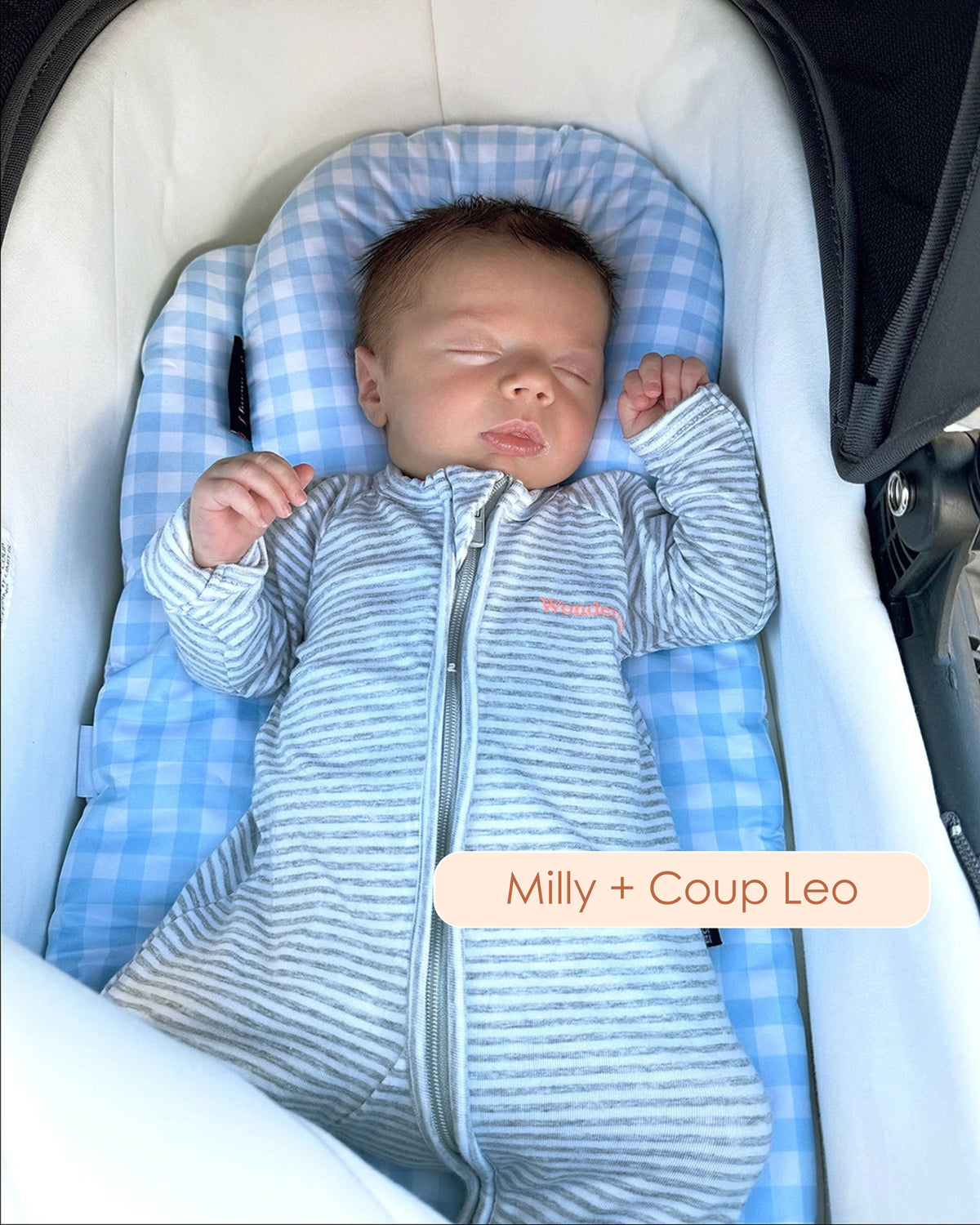 Milly + Coup