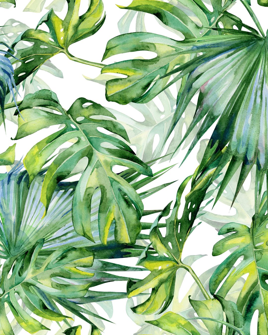 Monstera Palm