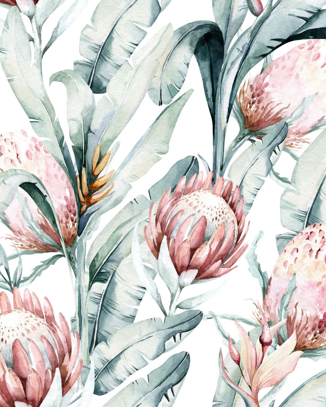 Pastel Protea