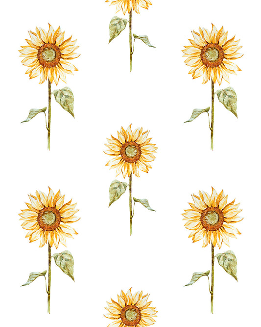 Petite Sunflowers