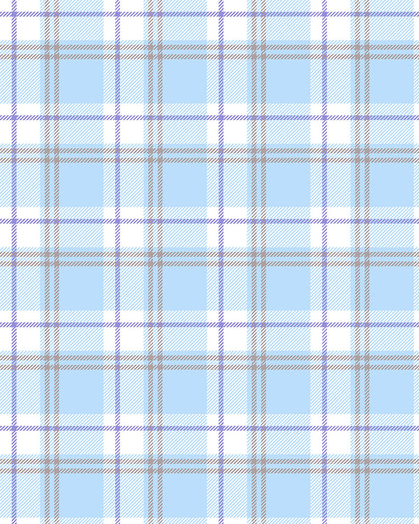 Plaid Blue