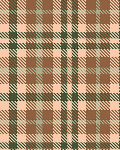 Plaid Earth