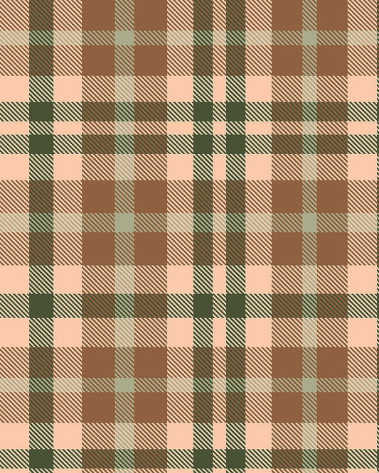 Plaid Earth