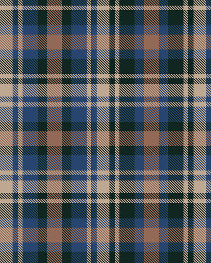 Plaid Winter